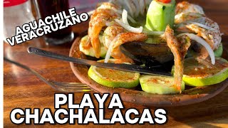 AGUACHILE VERACRUZANO😋EN PLAYA CHACHALACAS VERACRUZ🤭 [upl. by Nizam]