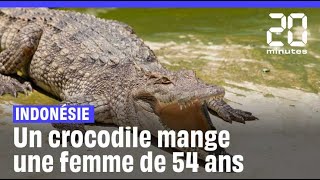 Indonésie  Les restes d’une femme retrouvés dans le ventre d’un crocodile shorts [upl. by Lacram]