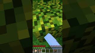 I Tried Hardcore Minecraft [upl. by Lotsyrk]