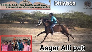 Jamnagar dhichda Horse racing Asgar Alli pati [upl. by Teufert512]