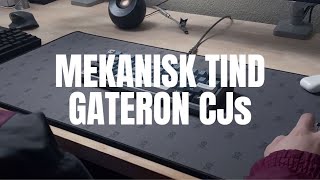 Mekanisk Tind with lubed Gateron CJs Typing Test ASMR mods comparison [upl. by Raul111]