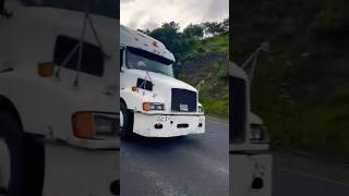 STOUT STEED fyp viral viralvideo viralshorts trending trendingshorts trendingvideo truck [upl. by Figge137]