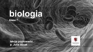 Klasa 7  Biologia   szkoła [upl. by Neros]