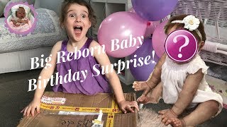 Big Reborn Baby Birthday Surprise [upl. by Ogdon]