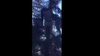 Guy Jumps Off Roof Into Tree [upl. by Punke413]