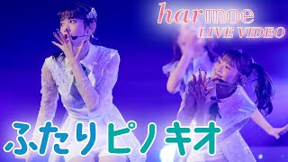 【harmoe】「ふたりピノキオ」ライブ映像 from「2nd LIVE TOUR ”GOOD and EVILquot」at 神奈川県民ホール 2023812 [upl. by Gariepy]