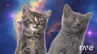 40 Subscribes Space cat song  Lugalugaluga [upl. by Oag]