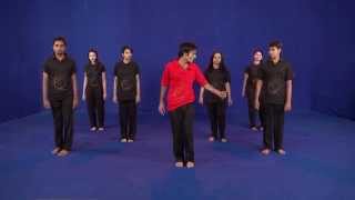 latest Garba 24 steps dvd ahmedabad gujarat  Egarba Tutorial with Irfan Krishna Step HD [upl. by Khajeh]