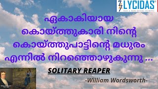 The Solitary Reaper Poem by William Wordsworth TheSolitaryReaper WilliamWordsworth LycidasAcademy [upl. by Anavlis]