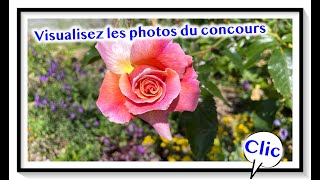 Concours photo de Wavignies format 169ème [upl. by Lerraf]