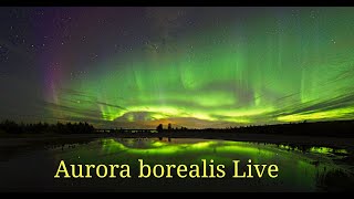 Norther lights  Aurora borealis live Oulu Finland [upl. by Helen]