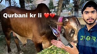 Wacha ki Qurbani kr li 🔪💔  Eid vlog  Abdullah Afzaal Vlogs [upl. by Hera]