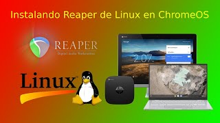 Instalando REAPER de Linux en ChromeOS [upl. by Eissehc]