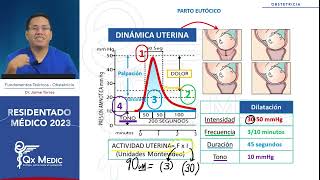 Obstetricia Parto eutócio  RM 2023 [upl. by Akemrehs]