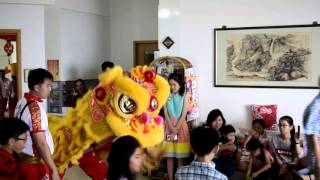 CNY gathering lion dance house [upl. by Nnylav]