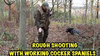 Rough Shooting with Working Cocker Spaniels [upl. by Naginnarb]