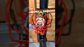 Essential Home Safety Fire Sprinkler Installation Overview shorts [upl. by Blessington]