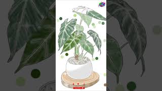 🌳procreate painting tree bonsaipot🎍art [upl. by Elwin]