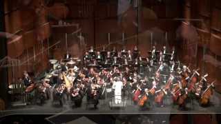 Adagio for Strings  Samuel Barber Theme from quotPlatoonquot [upl. by Fraya]