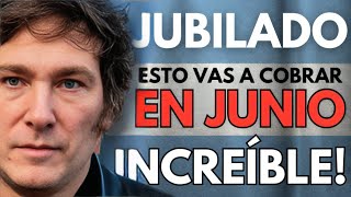 💥 BONO ✚ AUMENTO ✚ AGUINALDO❗️Cuánto COBRO en JUNIO  JUBILADOS y PENSIONADOS ANSES PNC PUAM MILEI [upl. by Rosati]