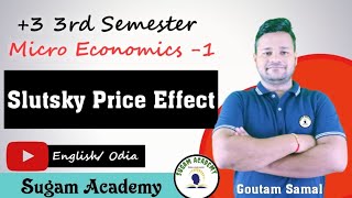 Slutsky Price Effect  Micro Economics 1  3 3rd Semester [upl. by Arriek]