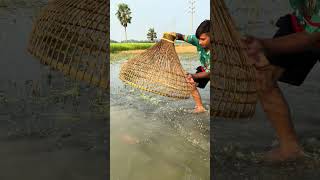 fishing hook net fishingtrap fishinglife viralvideo amazngfishing amazingfish viralvideo [upl. by Adnawahs]