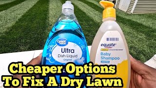 How To Fix DryHydrophobic Soil To Help Keep Lawn Green [upl. by Aurea]