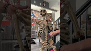 99 days to Halloween Viral Tiktok Dance  Gordons Brat Summer [upl. by Verada452]