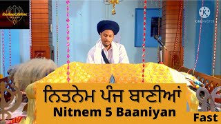 Nitnem 5 Baaniyan  ਨਿਤਨੇਮ ਪੰਜ ਬਾਣੀਆਂ । Fast waheguru gurbanivichar gurbani nitnem shorts wmk [upl. by Kentiggerma433]