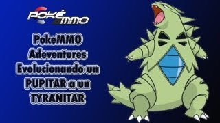 PokeMMO Adventures  Evolucionando un PUPITAR a un TYRANITAR [upl. by Otir]