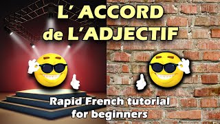 Laccord de ladjectif  Rapid tutorial  Learn easy French for beginners [upl. by Morry]