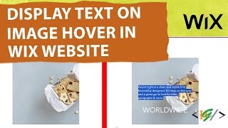 How to Display Text on Hover Image Effect in Wix Website [upl. by Reffotsirk]