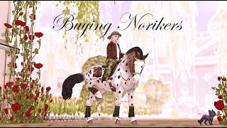 Star Stable Online  Buying the new Noriker [upl. by Bumgardner]