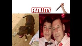 Man Stabs Pit Bull To Death For Biting His SonWriter Theoden Janes Defends Bully Breeds [upl. by Idnar822]