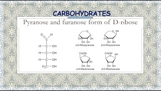 Pyranose and furanose form of Dribose [upl. by Aleel]