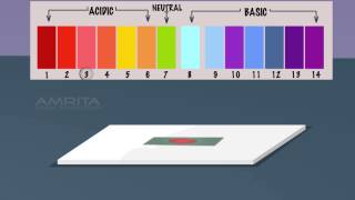 pH Determination  MeitY OLabs [upl. by Cigam]