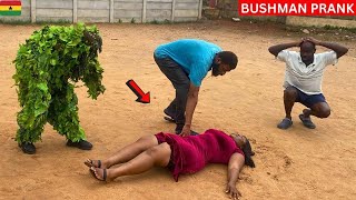 😂😂😂 The Most Watched Videos In 2024 BUSHMAN PRANK SPECIAL [upl. by Etnomed377]