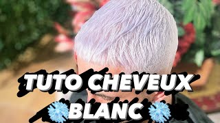 TUTO AVOIR LES CHEVEUX BLANC  GRIS   By AbdoulBarber [upl. by Rufe296]