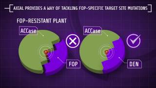 Explaining Herbicide Resistance Herbicide modes of action [upl. by Aidile929]