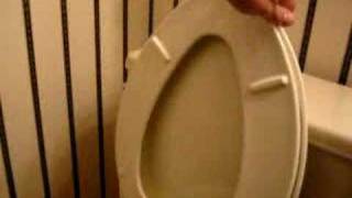 My New Slow Closing Toilet Seat [upl. by Zosi103]