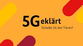 Schadet 5G den Tieren  5Geklärt  Folge 6 [upl. by Damian]