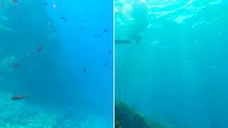 Bali Indonesia  Snorkeling 2023 [upl. by Matty]