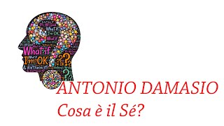 ANTONIO DAMASIO cosa è il Sé [upl. by Menis]