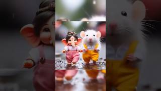 Ganpati babba morya 🤩 funny comedy animals rat pets [upl. by Ennej]