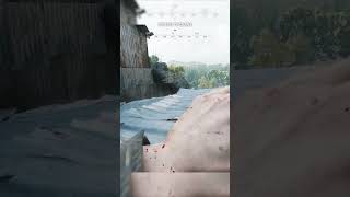 Making Use of VERTICALITY huntshowdown1896 huntshowdown gaming pvp [upl. by Moclam]