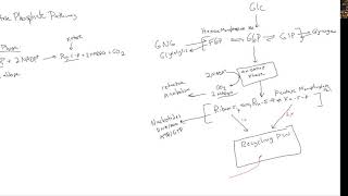 CHEM 407  Pentose Phosphate Pathway  1 Overview of PPP [upl. by Lina805]