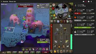 Venator Bloodveld Rigour AFK 60k slay 238k rang xpH [upl. by Ydnam]