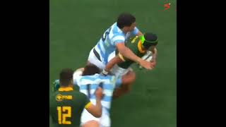 CHESLIN KOLBE Try for Springboks vs Argentina shorts shortvideo springboks trending [upl. by Nimesay579]