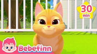 Boo 🐈‍⬛ Fluffy Animal Friends and Bebefinn FamilyㅣNursery Rhymes Compilation [upl. by Regine817]