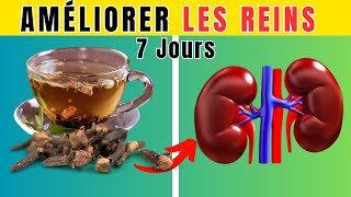 5 Boissons NATURELLES pour AMELIORER la santé de vos REINS [upl. by Narayan989]